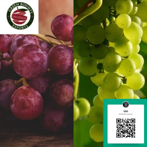 Grapes